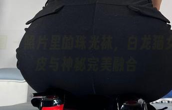 微密圈 – 照片里的珠光袜，白龙猫女的俏皮与神秘完美融合