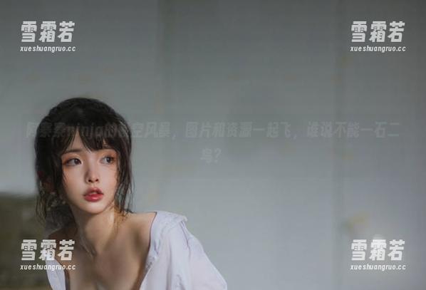 阿寨寨ninja的镂空风暴，图片和资源一起飞，谁说不能一石二鸟？